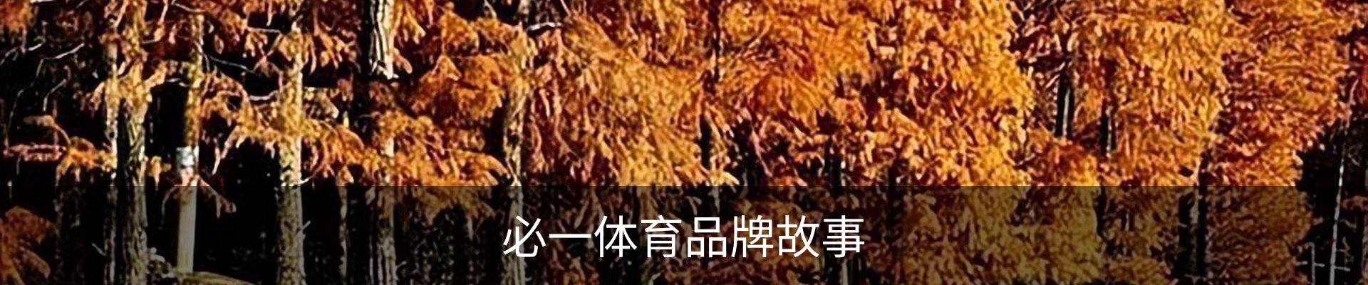 必一体育品牌故事